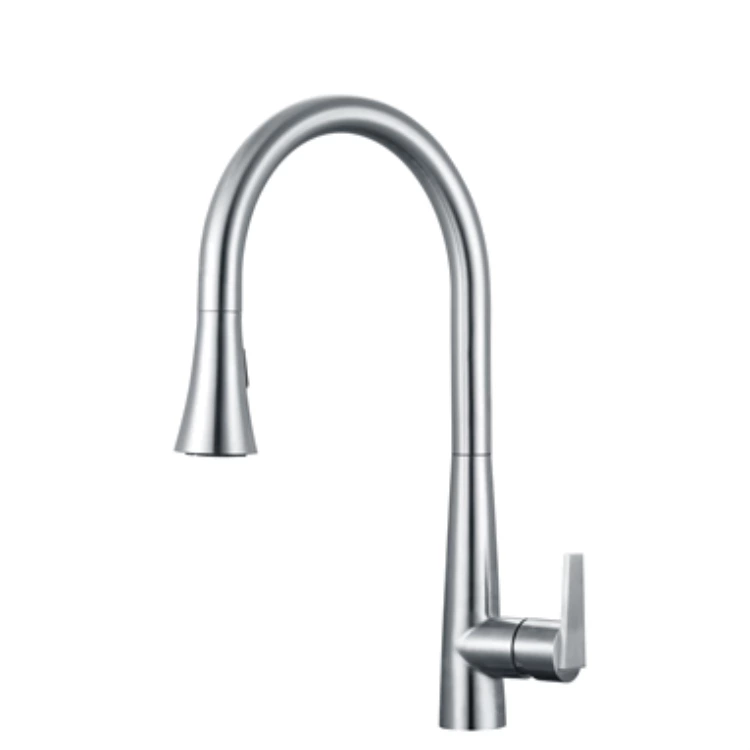 Stainless Steel Faucet with shower spout– Pull-Down Sprayer & Modern Design