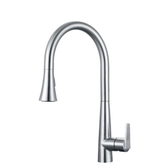 Stainless Steel Faucet with shower spout– Pull-Down Sprayer & Modern Design