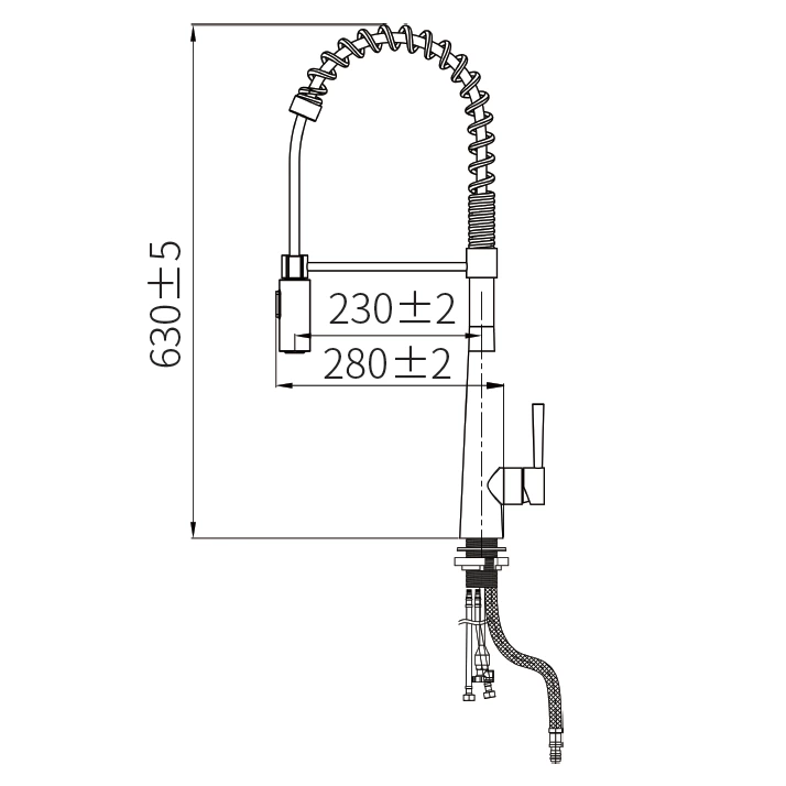 European Standard Stainless Steel Pull Out Kitchen Faucet - Deck Mount, Hot/Cold